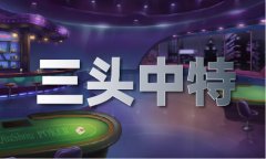 中马堂论坛高清跑狗图V
